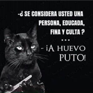 Meet your Posher, Nelson